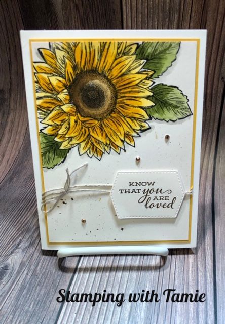 Stampin Up 2020 2021, Sunflower Cards, Summer Cards, Stamping Up Cards, Thanksgiving Cards, Fall Cards, Floral Cards, Stamping Up, Flower Cards