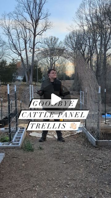 Joshua Meekins on Instagram: "Comment “TRELLIS” and I’ll send you my free Trellis Cheat Sheet to help get you started! You can also find it on my site 😁

What are your thoughts on cattle panel trellises? I haven’t heard of anyone not liking them. The biggest hurdles are price and the legisticts of getting them home.

I’ve had a friend with a truck and another with a trailer help me the three times I’ve bought them.

The 16‘ x 50“ cattle panels at my local tractor supply cost about $35. The five-foot T-posts, which are plenty tall for supporting this trellis, cost around $5 each. 
Your price may vary, but for around $55 (and the fact it’ll last forever), makes it very compelling for us gardeners. 

Post drivers, brackets,  zip ties, or metal wire connectors are all extra supplies you may n Cattle Panel Garden, Pig Fence, Cattle Panel Trellis, Fence Trellis, Cattle Panels, Tractor Supplies, Tractor Supply, A Truck, Wire Connectors