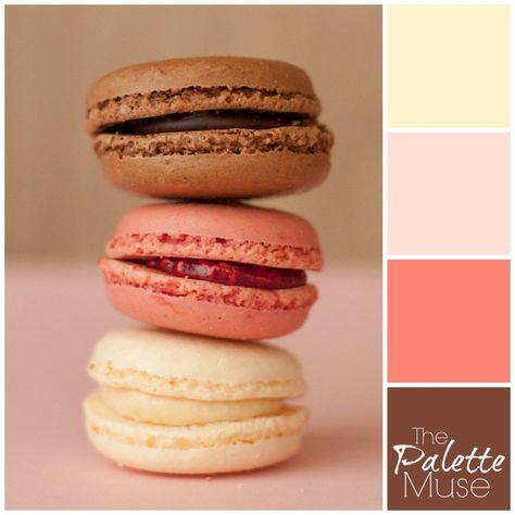 Neopolitan Palette and 9 ways to Use Color Palettes Pastry Color Palette, Menu Color Palette, Sweet Color Palette, Cookie Color Palette, Vanilla Macarons, Vanilla Color, Chocolate Macaron, Create Color Palette, Retro Cafe