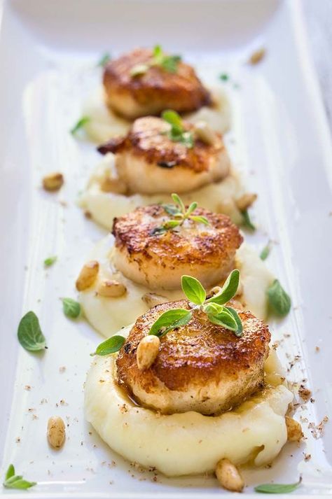 Parsnip Puree, Seared Scallops, Fine Dining Recipes, Scallop Recipes, Scallops Seared, Idee Pasto Sano, Parsnips, Fish Dishes, Food Presentation