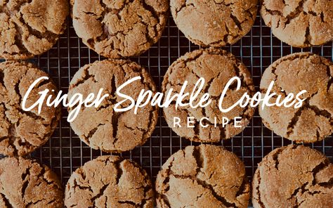 Ginger Sparkle Cookies Recipe, Ginger Sparkle Cookies, Cookies With Molasses, Sparkle Cookies, Soft Ginger Cookies, Ginger Cookie Recipes, Ginger Molasses Cookies, Baking Goods, Easy Chocolate Chip Cookies