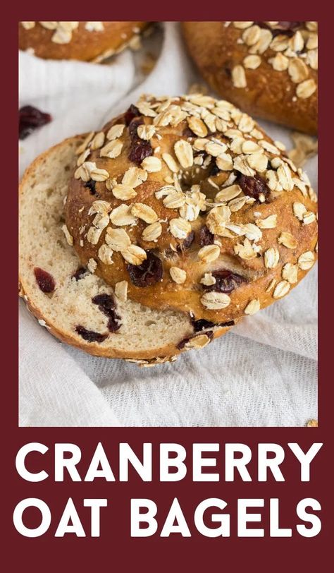 Whole wheat bagels are sweetened with honey and sprinkled with dried cranberries throughout and whole oats on top #recipe #bagel #cranberry #oat #wholewheat #bread #breakfast #brunch Oat Bagels, Whole Wheat Bagels, Cranberries Recipes, Homemade Breakfast Recipes, Whole Wheat Bagel, Brunch Inspiration, Cinnamon Roll Dough, Bread Breakfast, Easy To Make Appetizers