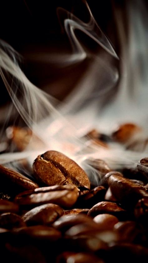 Coffee Beans Photography, Coffee Perfume, Coffee World, Coffee Wallpaper, Coffee Pictures, Food Wallpaper, Gourmet Coffee, Coffee Photography, Organic Coffee