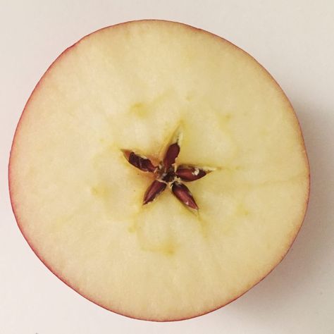 When you cut the apple in half, you reveal the star that is inside every apple. Half Apple, Apple Star, Fruit Pictures, Apple Core, Star Apple, Apple Cut, Radial Design, Apple Photo, Sibling Love