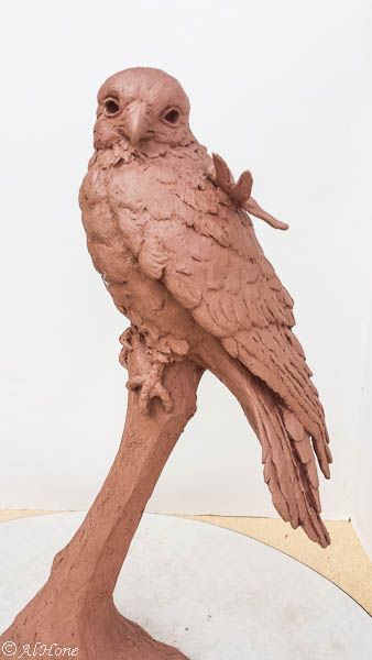 Newest bird sculptures, kestrel, dragonfly Clay Sculpture Ideas Animals, Sculpture Bird, Bird Sculpture Clay, Animal Sculptures Clay, Ceramic Birds Sculpture, Clay Bird, Ceramic Art Sculpture, Relief Sculpture, Ceramic Birds