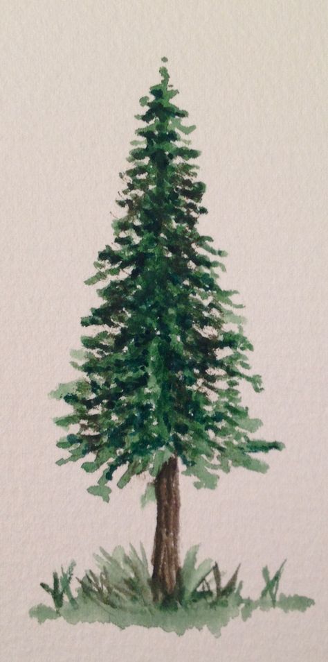 Pine Tree Water color Simple Pine Tree Watercolor, Pine Tree Painting Easy, Winter Tree Drawing, Pine Tree Watercolor, Mirror Painting Ideas, Tree Painting Easy, Pine Tree Drawing, Tree Drawings, Pine Tree Painting