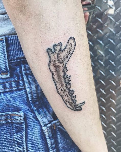 Mandible Tattoo, Lake Powell Tattoo Ideas, Sleeve Of Saltines Tattoo, Salt Life Tattoo Ideas, Lake Powell Tattoo, Socal Tattoo, Saskatoon Tattoo, Utah Tattoos, Utah Tattoo