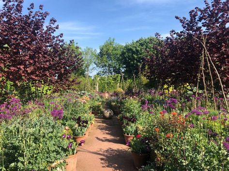 A look around Monty Don's garden Monty Don Garden Design, Monty Don Garden, Monty Don Longmeadow, Longmeadow Garden, Monty Don, Caribbean Homes, Potager Garden, London Garden, Natural Swimming Pool