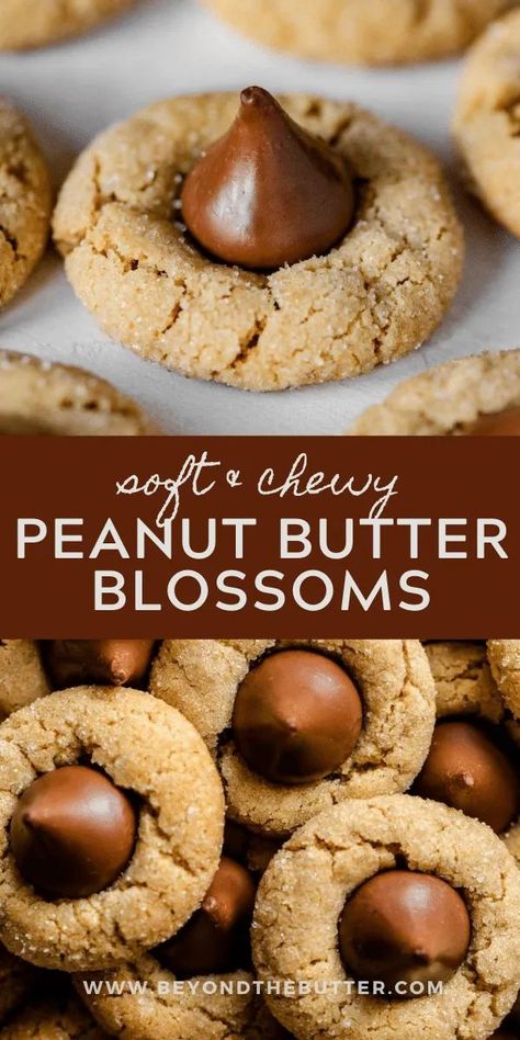 Classic Peanut Butter Blossoms are soft and chewy peanut butter cookies with a sugary, crackled top and finished with a milk chocolate kiss! They're the perfect go-to cookie for the holiday season for good reason—they're easy to make and incredibly delicious! Recipe on BeyondtheButter.com | #peanutbutterblossoms #hersheykisscookies #christmascookies #beyondthebutter #chocolate Peanut Butter Blossom, Peanut Butter Blossom Cookies, Chewy Peanut Butter Cookies, Blossom Cookies, Christmas Baking Recipes, Hershey Kiss, Peanut Butter Blossoms, Slow Cooker Desserts, Peanut Butter Cookie Recipe