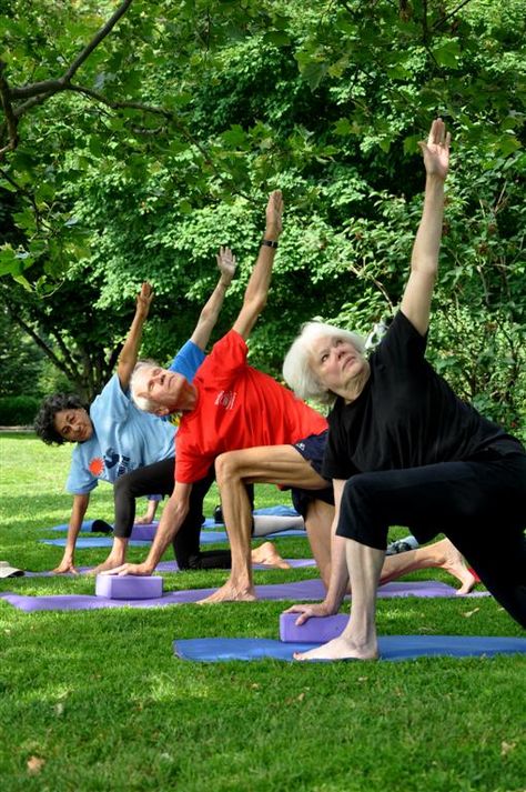 Fit and mindful seniors People Doing Yoga, People Exercising, Senior Yoga, Senior Health, Outdoor Yoga, Bones And Muscles, Benefits Of Exercise, Senior Fitness, Easy Yoga