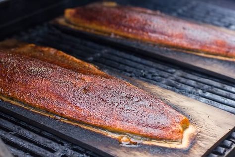 Cedar Plank Grilled Trout Recipe - rainbow or steelhead Grilled Steelhead Trout Recipe, Trout On The Grill, Grilled Trout Recipes, Steelhead Trout Recipe, Grilled Trout, Trout Recipe, Grill Tips, Light Side Dishes, Speckled Trout