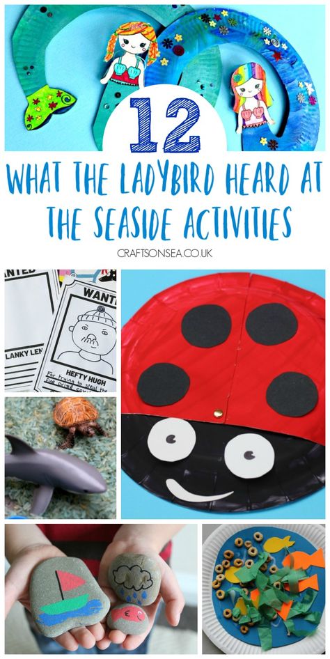 what the ladybird heard at the seaside activities for kids What The Ladybird Heard At The Seaside, Ladybird Activities, Seaside Eyfs, What The Ladybird Heard Activities, What The Ladybird Heard, The Scarecrows Wedding, Seaside Activities, Julia Donaldson Books, Snail And The Whale