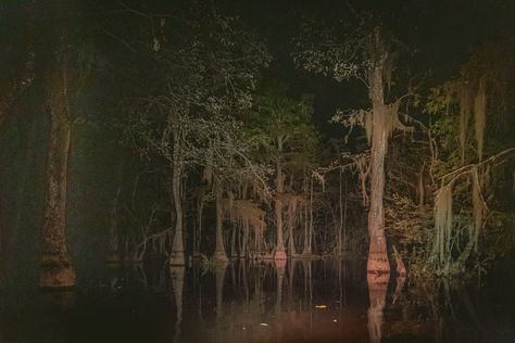 breezeh on Twitter: "Photos I’ve recently taken at 3am… " Southern Gothic Aesthetic, Louisiana Swamp, Flight Rising, American Gothic, Personal Aesthetic, Southern Gothic, Gothic Aesthetic, Twitter Photos, One Summer