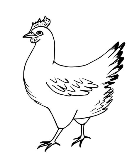 Chicken Outline Drawing, Poultry Drawing, Hen Drawing, Chicken Outline, Hen Farm, Picture Drawing, Land Animals, Laying Hens, Vector Sketch