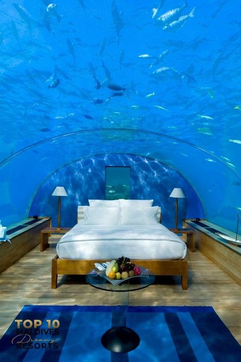 Conrad Maldives Rangali Island Underwater Bedroom Poseidon Undersea Resort, Underwater Hotel Room, Underwater Bedroom, Ocean Bedroom, Underwater Hotel, Underwater Restaurant, Interior Design Blogs, Underwater House, Bawah Air