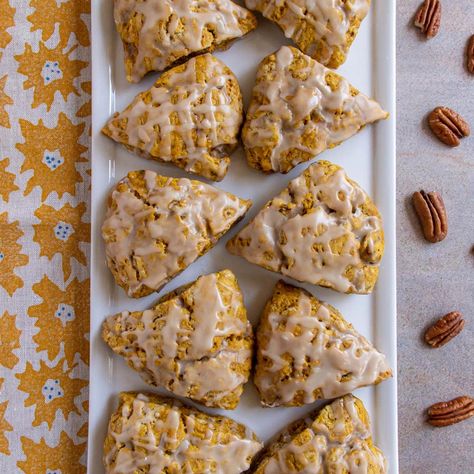 These Pumpkin Pecan Scones are the perfect trifecta of fall flavors. The ubiquitous pumpkin is heightened by the crunch of nutty pecans and sweet maple glaze. You'll never want another pumpkin scone after trying these. Pumpkin Potpourri, Pecan Scones, Pumpkin Scones Recipe, Thanksgiving 2023, Pumpkin Recipe, Pumpkin Scones, Maple Pecan, Fall Flavors, Pumpkin Pecan