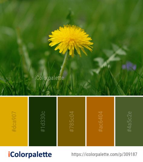 Color Palette Ideas from Flower Yellow Dandelion Image Dandelion Color, Smoothie Bowl Recipe Healthy, Yellow Dandelion, Color Palette Ideas, Dandelion Yellow, Closet Colors, Palette Ideas, Color Rush, Flower Yellow