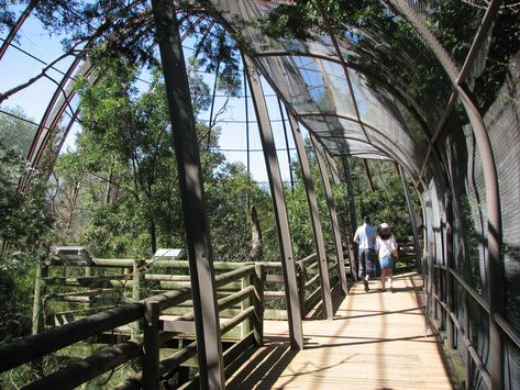 Melbourne Zoo 2008 - Inside the walk-through aviary - ZooChat Melbourne Zoo, Glass House, The Locals, Melbourne, Walking