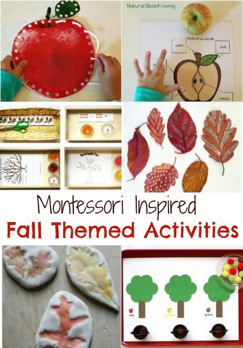 Fabulous Themed Fall Montessori Activities, Apple Activities, Nature Ideas, Leaf activties, Free Printables, Autumn Activities perfect for kids, Fall books Montessori September Activities, Montessori Fall Art, September Practical Life Montessori, Montessori Monthly Themes, Fall Montessori Activities, Montessori Themes, Montessori Practical Life Activities, Leaf Activities, Montessori Trays