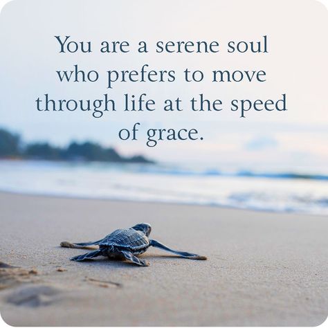 Slowing down is sometimes the best way to speed up. – Mike Vance Robert Adams, Angel Food, Reiki Healing, Soul Food, Slow Down, Speed Up, Reiki, Healing, Angel