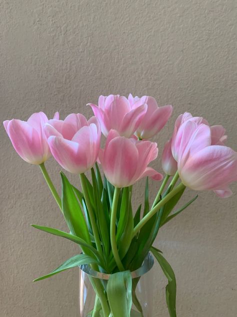 #tulips #vsco #springsummer #spring #pink #inspiration Tulips Open, Light Pink Tulips, Pastel Tulips, Pretty Tulips, Tulips Images, Aesthetic Artsy, Pink Inspiration, Nothing But Flowers, Flower Therapy