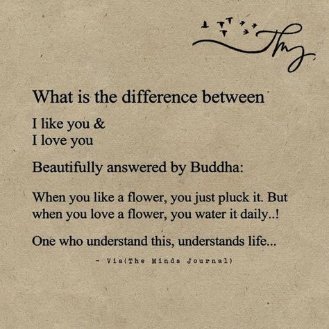 Buddha Quotes Life, Buddha Quotes Inspirational, Buddhism Quote, Buddhist Quotes, Vie Motivation, Buddha Quotes, Deep Thought Quotes, Quotable Quotes, Wise Quotes