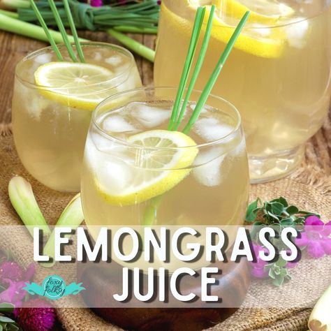 Foxy Folksy - Modern Filipino Kitchen - Healthy Lemongrass Juice Lemongrass Juice, Modern Filipino Kitchen, Filipino Kitchen, Lemongrass Recipes, Bibimbap Recipe, Lemongrass Plant, Foxy Folksy, Bubble Drink, Juice Drinks