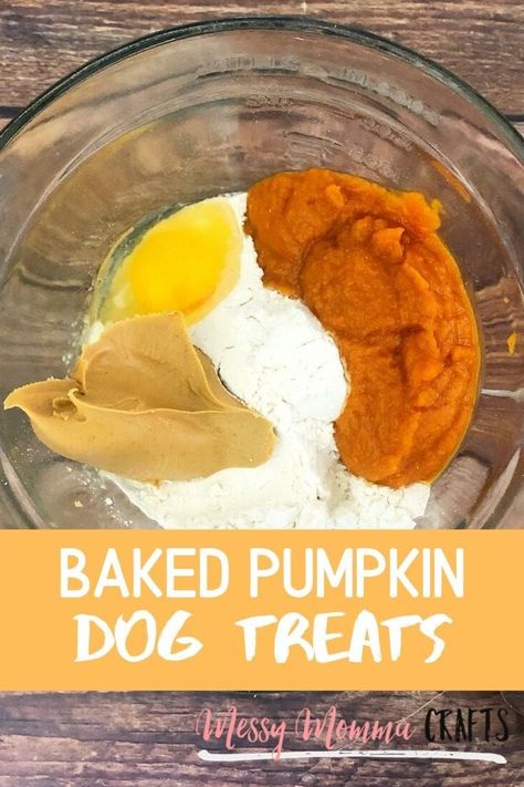 Pumpkin Dog Treats Recipe, Dog Treats Homemade Pumpkin, Dog Treats Homemade, Pumpkin Yogurt, Dog Treats Recipe, Homemade Pet Treats, Dogs Treats, Cook Dog Food, Pet Snacks