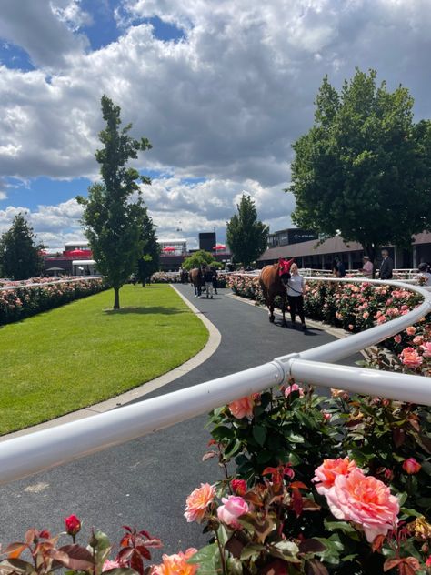 Race Course, Ascot Races, Derby Aesthetic, Horse Race Aesthetic, Horse Race, Horse Racing Aesthetic, Horse Race Track, Horse Races Aesthetic, Racehorse Aesthetic