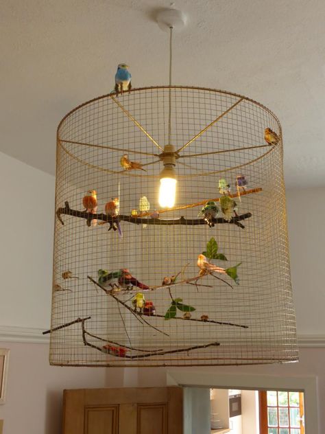 Bird Cage Lamp Shade - 23" diameter! Using wire mesh wrapped round shade rings, fake birds (ebay!), branches from the garden and bronze/gold car spray paint. Diy Light Cover Ceiling, Fake Bird Cage Decor, Upcycled Bird Cages, Diy Wire Bird Cage, Bird Cages Lamps, Bird Cage Lamp, Birdcage Light, Car Spray Paint, Fake Birds