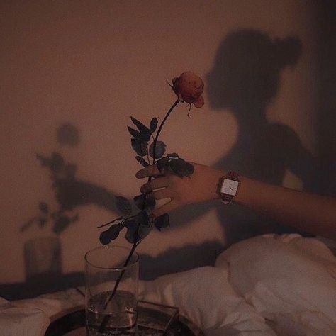 Zoe + Core + Aesthetic, Alexis + Core + Aesthetic, Madison + Core + Aesthetic, Olivia + Core + Aesthetic, Grey Aesthetic, Disney Princess Modern, Aesthetic Journal, Queen Aesthetic, Dark Feminine Aesthetic