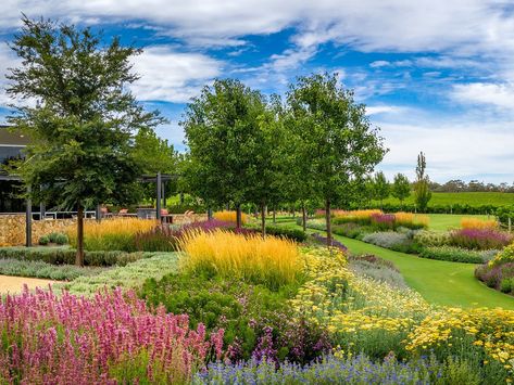 Perennial Gardens, Barossa Valley, Cellar Door, Lose Yourself, Perennial Garden, Shiraz, Wine Region, Immersive Experience, Cabernet Sauvignon