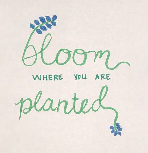 Bloom where you are planted - calligraphy (ish), green and blue Crayola watercolor pens Plant Calligraphy, Botany Word Calligraphy, Bloom Where You Are Planted, Pen And Watercolor, Botany, Doodle Art, Calligraphy, Bullet Journal, Doodles