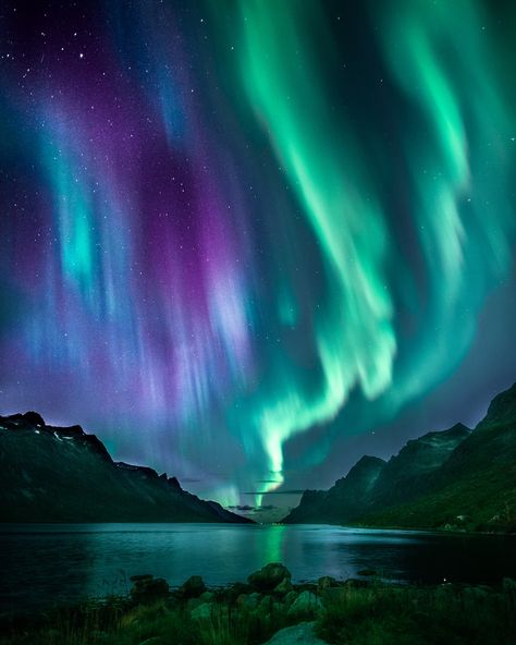 Northern Lights Photos Northern Lights Wallpaper, Northern Lights Photo, Beauty Fotografie, Northern Lights Photography, Northern Lights Painting, Aurora Borealis Northern Lights, The Aurora, The Night Sky, Beautiful Sky