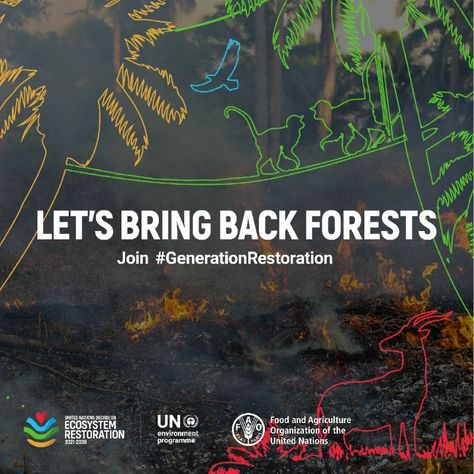 UN Environment Programme on X: "4.7 million hectares of forests are lost every year. Protecting forests is one of the most effective ways to address the climate crisis. Ahead of the #AfricaClimateSummit, join #GenerationRestoration and take action #ForNature: https://t.co/H6MrgMDj2G https://t.co/OatandLaks" / X Ecosystem Restoration Poster, Ecosystem Restoration, Bollywood Funny, Climate Crisis, Ecosystem, Take Action, Fun Facts, Lost, Bring It On