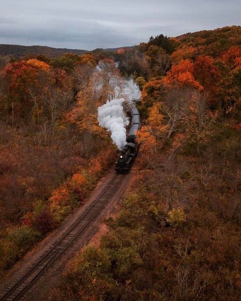 Aesthetic Background Green, Connecticut Fall, Train View, Evermore Aesthetic, Fall Photography, Background Green, Autumn Magic, Green Pumpkin, Pinterest Ideas