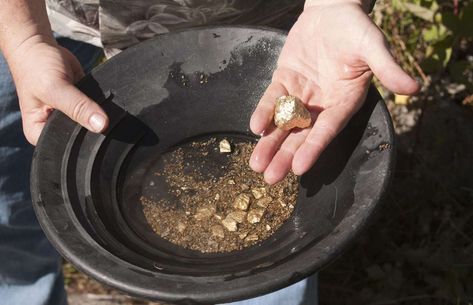 The gold rushes of the 19th century have long since ended, but there are still plenty of places you ... - Jeffrey B. Banke/Shutterstock Gold Mining Equipment, Gold Panning, Panning For Gold, Gold Miners, Gold Prospecting, Mining Equipment, Metal Detecting, Gold Mining, Gold Nugget