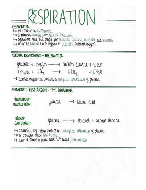 Gcse Biology Paper 1 Revision, Biology Revision Gcse Aqa Paper 1, Biology Paper 1 Revision, Carbon Molecule, Gcse Biology, Science Revision, Biology Revision, Organization Notes, School Biology