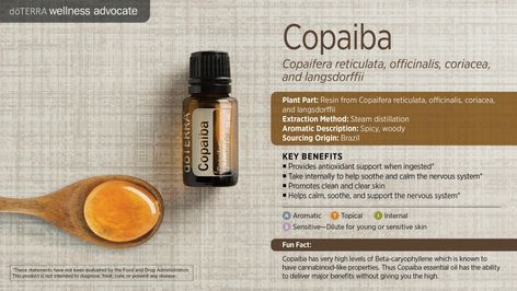 Doterra Copaiba, Copaiba Oil, Copaiba Essential Oil, Doterra Oil, Doterra Wellness Advocate, Doterra Oils, Parts Of A Plant, Best Essential Oils, Oil Uses