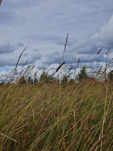 #fields #grass #aesthetic #sky #clouds #blue #background Grass Aesthetic, Aesthetic Sky Clouds, Aesthetic Sky, Sky Clouds, Blue Background, Natural Landmarks, Blue