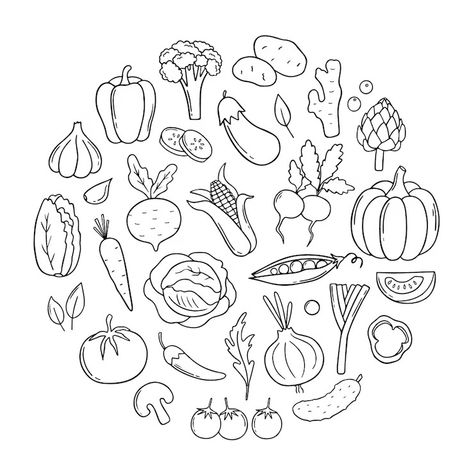 Premium Vector | Vector hand drawn set of vegetables doodle in circle shape Diy Presents, Psd Icon, Drawing Set, Vector Hand, Circle Shape, Vector Photo, Premium Vector, Graphic Resources, Hand Drawn