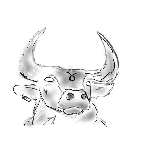 Taurus Sketch Drawing, Taurus Drawing Simple, Bull Drawing Taurus, Taurus Sketch, Taurus Drawing, Bull Art Drawing, Bull Sketch, Bull Drawing, Bull Artwork