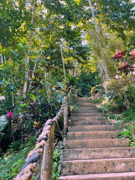 Brazil Rainforest Aesthetic, Bright Jungle Aesthetic, Belize Vacation Aesthetic, Tropical Cottagecore Aesthetic, Mexico Jungle Aesthetic, Tropical Nature Aesthetic, Rainforest Aesthetic Wallpaper, Jungle Asethic, Junglecore Aesthetic