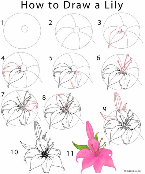 Flower Drawing | Cool2bKids How To Draw Lilies Step By Step, Easy Drawing Tutorials Step By Step, Easy Flower Drawings Step By Step, Trin For Trin Tegning, Ako Kresliť, Flower Step By Step, Kraf Kertas, Flower Mural, Draw Flowers