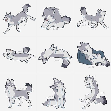 Wolf Poses, Dog Design Art, Cute Wolf Drawings, Awesome Drawings, Wolf Sketch, Cartoon Wolf, Gorgeous Animals, Canine Drawing, Some Drawings