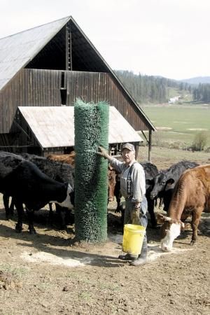 FARM SHOW - Street Sweeper Brooms Make Nifty Back Scratchers Shop Hacks, Farming Tractors, Cattle Corrals, Bedroom Decor Modern, Farm Hacks, Horse Farm Ideas, Agriculture Equipment, Street Sweeper, Cattle Barn