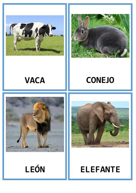 Los Bits de Inteligencia son un método didáctico dirigido a niños/as de entre 0-6 años que mejoran la atención, facilitan la concentración y desarrollan y estimulan el cerebro, la memoria y el aprendizaje. Creado por el médico estadounidense Glenn Doman, con el objetivo de estimular al niño para que aprenda. Son unidades de información por medio de imágenes grandes, claras y bien definidas. Son estímulos visuales acompañados de estímulos auditivos. Los Bits tienen como objetivo principal el de Glenn Doman, Elephant, Portfolio, Animals