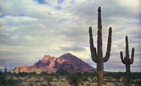 Camelback Mountain in the 1950s, Phoenix, Arizona Camelback Mountain Arizona, Arizona History, Arizona Biltmore, Arizona Photography, Camelback Mountain, Desert Life, Time Pictures, Shadow Play, Phoenix Arizona