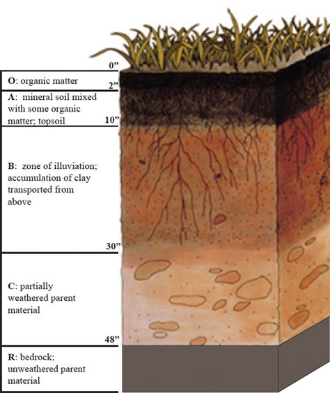 Figure 1. Soil Profile, Soil Classification, Sheet Mulching, Black Soil, Soil Texture, Tanah Liat, Organic Soil, Soil Testing, Soil Layers