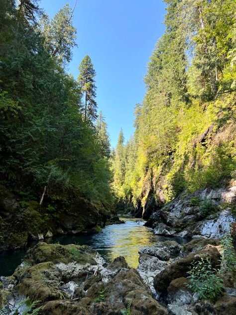 Nature Vision Board, Pnw Summer Aesthetic, Tobias Rhodes, Pnw Hiking Aesthetic, Hiking Nature Aesthetic, Hiking Vibes, Hiking Scenery, Pnw Hikes, Hiking Core